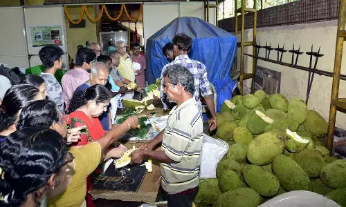 ಮಂಗಳೂರು: ಮೇ 24-25ರಂದು ಹಲಸು ಹಬ್ಬ