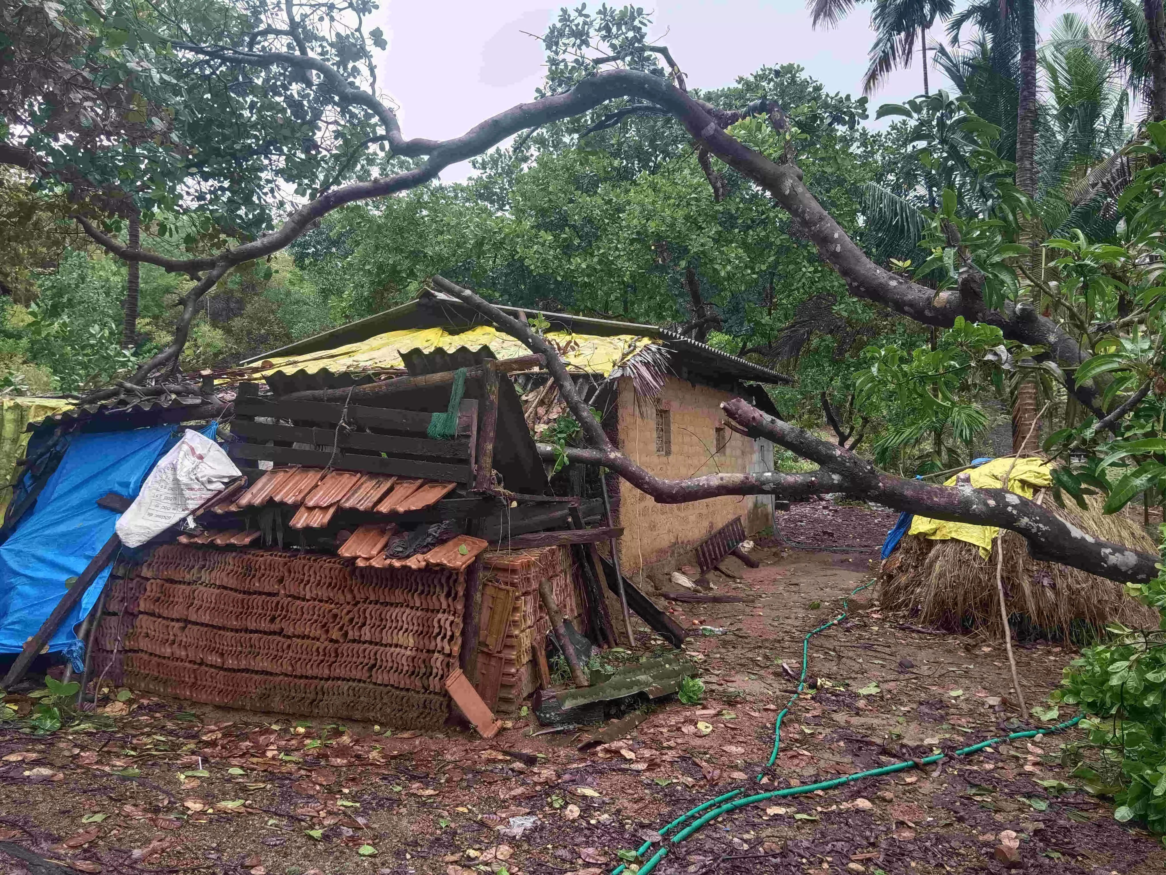 ಉಡುಪಿಯಲ್ಲಿ ಗಾಳಿಮಳೆ: ಹಲವು ಮನೆಗಳಿಗೆ ಹಾನಿ