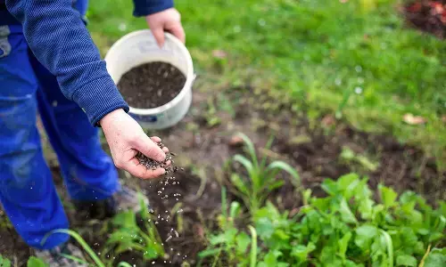 ಹೊಸಪೇಟೆ | ಡಿಎಪಿ ಗೊಬ್ಬರಕ್ಕೆ ಪರ್ಯಾಯವಾಗಿ ಸಂಯುಕ್ತ ರಸಗೊಬ್ಬರ ಬಳಸಿ : ರೈತರಿಗೆ ಕೃಷಿ ಇಲಾಖೆ ಜಂಟಿ ನಿರ್ದೇಶಕ ಶರಣಪ್ಪ ಮುದಗಲ್ ಸಲಹೆ