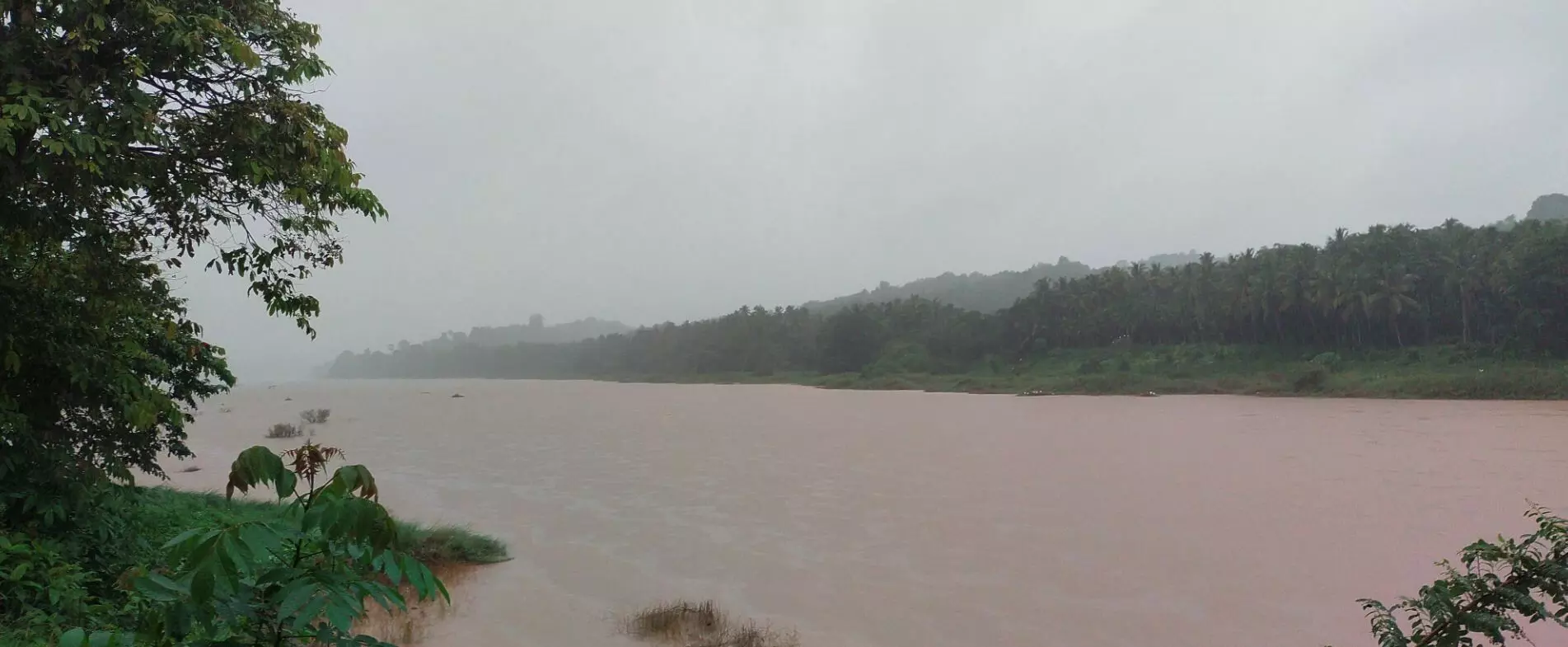 ಉಪ್ಪಿನಂಗಡಿ|  ಬಾರೀ ಮಳೆ; ನದಿ ನೀರು ಹೆಚ್ಚಳ
