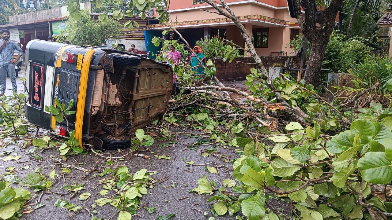 ವಿಟ್ಲ| ಭಾರೀ ಗಾಳಿ ಮಳೆಗೆ ಆಟೋ ಮೇಲೆ ಬಿದ್ದ ಮರ; ಚಾಲಕನಿಗೆ ಗಾಯ