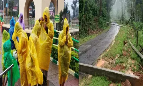 ಕೊಡಗಿನಲ್ಲಿ ಗಾಳಿ ಸಹಿತ ಭಾರೀ ಮಳೆ | ಮರ ಬಿದ್ದು ಕಾರ್ಮಿಕ ಮಹಿಳೆ ಮೃತ್ಯು : ರೆಡ್ ಅಲರ್ಟ್ ಘೋಷಣೆ