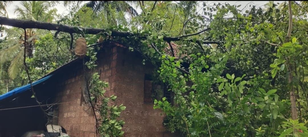 ಬಂಟ್ವಾಳ : ಬಾರೀ ಗಾಳಿ ಮಳೆ; ಮನೆಗಳಿಗೆ ಹಾನಿ