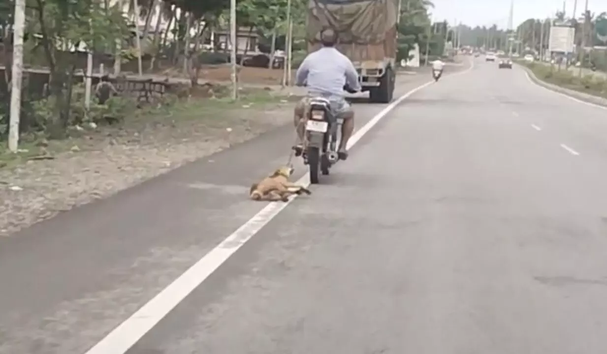 ಬೈಂದೂರು: ಬೈಕಿಗೆ ಸರಪಳಿ ಕಟ್ಟಿ ನಾಯಿಯನ್ನು ಎಳೆದೊಯ್ಯುತ್ತಿದ್ದ ವ್ಯಕ್ತಿ ವಿರುದ್ಧ ಸುಮೊಟೊ ಪ್ರಕರಣ ದಾಖಲು