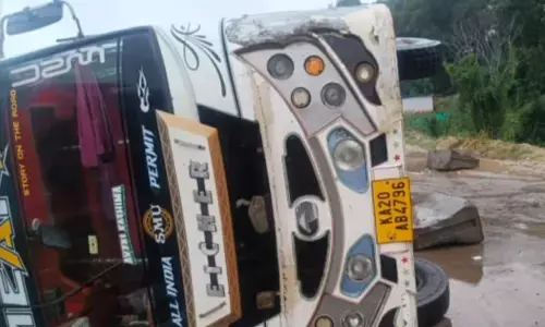 ಸಕಲೇಶಪುರ: ರಾಷ್ಟ್ರೀಯ ಹೆದ್ದಾರಿಯಲ್ಲಿ ಮೀನು ಸಾಗಾಟದ ಲಾರಿ ಪಲ್ಟಿ