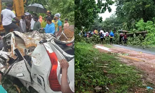 ಕಡಬ: ಚಲಿಸುತ್ತಿದ್ದ ಕಾರಿನ ಮೇಲೆ ಬಿದ್ದ ಬೃಹತ್ ಗಾತ್ರದ ಮರ; ಪ್ರಯಾಣಿಕರಿಗೆ ಗಂಭೀರ ಗಾಯ