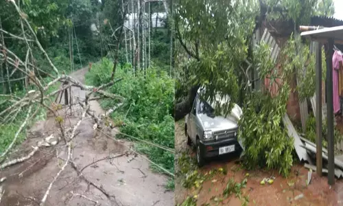 ಚಿಕ್ಕಮಗಳೂರು ಜಿಲ್ಲಾದ್ಯಂತ ಭಾರೀ ಮಳೆಗೆ ಜನಜೀವನ ಅಸ್ತವ್ಯಸ್ತ; ನದಿಗಳಲ್ಲಿ ಹೆಚ್ಚಿದ ನೀರಿನ ಹರಿವು