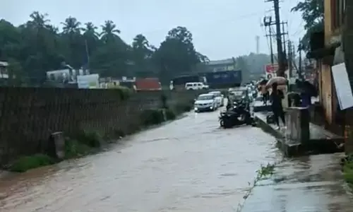 ನೆಲ್ಯಾಡಿ | ಹೆದ್ದಾರಿಯಲ್ಲೇ ನಿಂತ ಮಳೆ ನೀರು; ವಾಹನ ಸವಾರರ ಪರದಾಟ