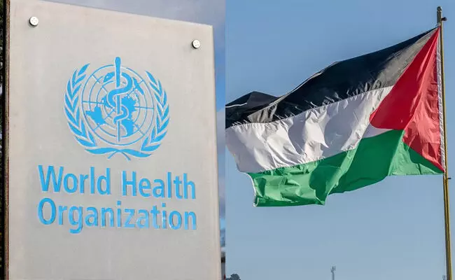 World Health Organization (WHO)