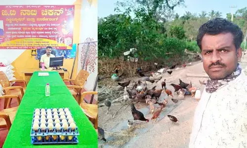 ಬಯಸಿದ್ದು ಉಪನ್ಯಾಸಕ ಹುದ್ದೆ: ಕೈ ಹಿಡಿದಿದ್ದು ಕೃಷಿ