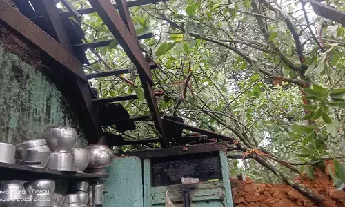 ಮೂಡಿಗೆರೆ: ಬಿರುಗಾಳಿ, ಮಳೆಗೆ ಮನೆ ಮೇಲೆ ಬಿದ್ದ ಮರ; ಮಹಿಳೆ ಗಂಭೀರ