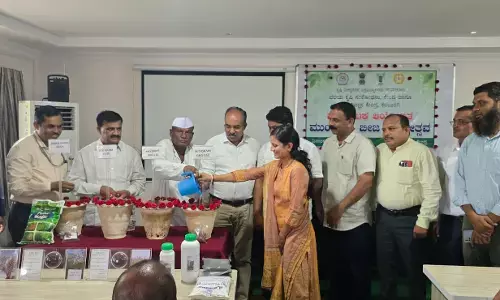 ಕಲಬುರಗಿ: ಮುಂಗಾರು ಬೀಜ ದಿನೋತ್ಸವ-2025