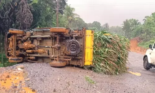 ಬೆಳ್ತಂಗಡಿ: ಜಾನುವಾರುಗಳ ಮೇವು ಸಾಗಿಸುತ್ತಿದ್ದ ಟೆಂಪೋ ಪಲ್ಟಿ