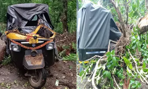 ಚಿಕ್ಕಮಗಳೂರು ಜಿಲ್ಲೆಯಲ್ಲಿ ಮುಂದುವರಿದ ಮಳೆ; ಚಲಿಸುತ್ತಿದ್ದ ಆಟೋ ಮೇಲೆ ಮರ ಬಿದ್ದು ಚಾಲಕ ಮೃತ್ಯು