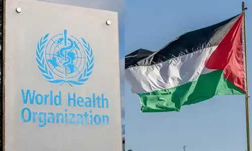 World Health Organization (WHO)