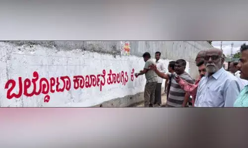 ಕೊಪ್ಪಳ | ಬಲ್ಡೋಟಾ ಕಾರ್ಖಾನೆ ವಿರುದ್ಧ ಪೇಂಟ್ ಅಭಿಯಾನ