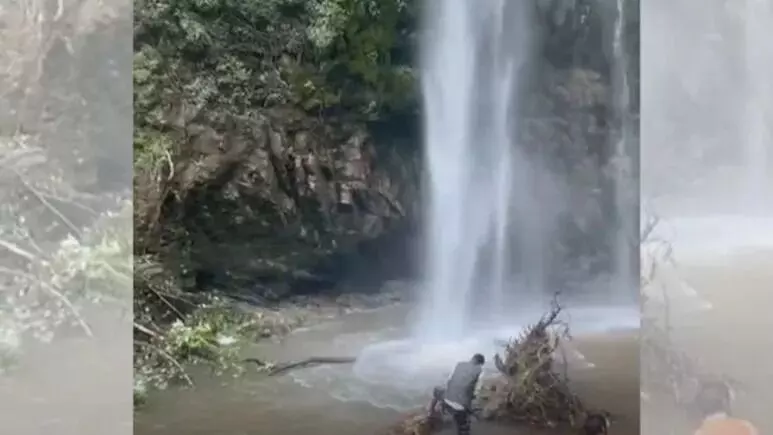 ಉತ್ತರಾಖಂಡ | ಬೆಟ್ಟದಿಂದ ಜಲಪಾತಕ್ಕೆ ಉರುಳಿ ಬಿದ್ದ ಮರ: ಇಬ್ಬರು ಮೃತ್ಯು
