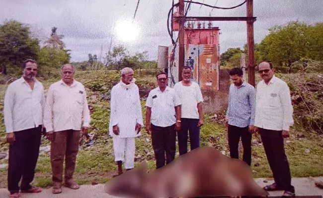 ಆಳಂದ | ವಿದ್ಯುತ್ ಟ್ರಾನ್ಸ್ ಫಾರ್ಮರ್‌ ತಗುಲಿ ಆಕಳು ಸಾವು