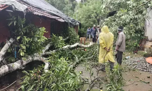 ಕೊಡಗಿನಲ್ಲಿ ಗಾಳಿ-ಮಳೆ: ಮರ ಬಿದ್ದು ಓರ್ವ ಮೃತ್ಯು