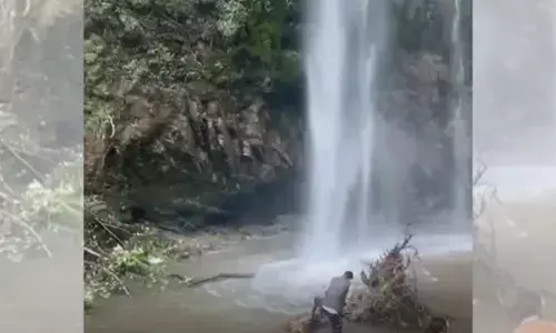 ಉತ್ತರಾಖಂಡ | ಬೆಟ್ಟದಿಂದ ಜಲಪಾತಕ್ಕೆ ಉರುಳಿ ಬಿದ್ದ ಮರ: ಇಬ್ಬರು ಮೃತ್ಯು