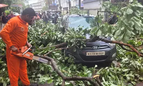 ಕಾಸರಗೋಡು: ಚಲಿಸುತ್ತಿದ್ದ ಕಾರಿನ ಮೇಲೆ ಬಿದ್ದ ಮರ; ಚಾಲಕ ಅಪಾಯದಿಂದ ಪಾರು