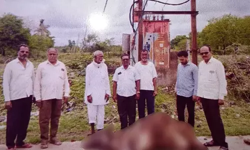 ಆಳಂದ | ವಿದ್ಯುತ್ ಟ್ರಾನ್ಸ್ ಫಾರ್ಮರ್‌ ತಗುಲಿ ಆಕಳು ಸಾವು