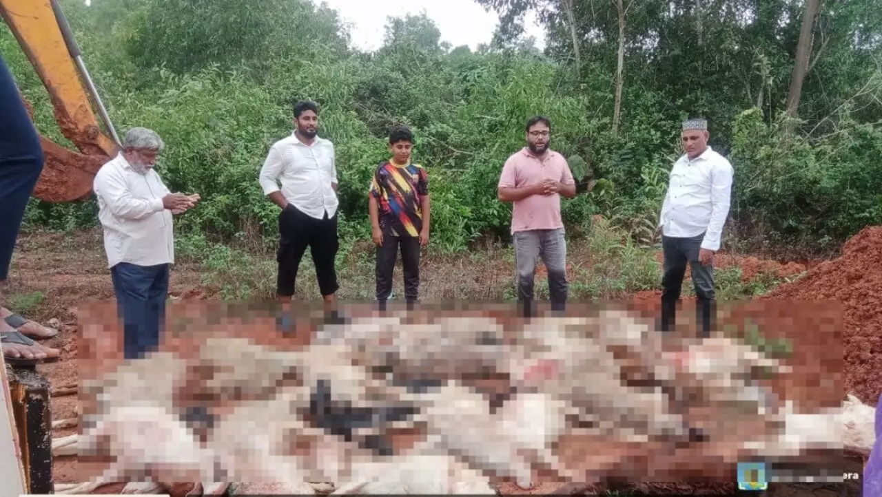 ಮಂಗಳೂರು: ಮಹಾ ಮಳೆಗೆ 68 ಆಡು, ಕುರಿಗಳ ಸಾವು