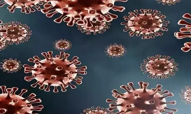 ಕೋವಿಡ್ ಸೋಂಕು ಪತ್ತೆ ಮಾಡಲು 12 ಪ್ರಯೋಗಾಲಯ ನಿಗಧಿಪಡಿಸಿದ ಸರಕಾರ