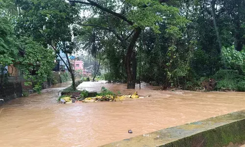 ತುಂಬಿ ಹರಿಯುತ್ತಿರುವ ರಾಜಕಾಲುವೆ: ಜೆಪ್ಪಿನಮೊಗರು, ಎಕ್ಕೂರು ಜಲಾವೃತ