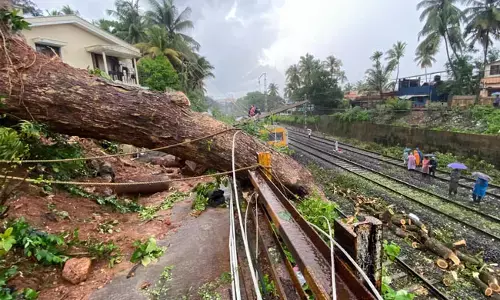 ಮಂಗಳೂರು | ಭಾರೀ ಮಳೆಗೆ ರಸ್ತೆಗುರುಳಿದ ಬೃಹತ್ ಮರ: ಮುರಿದ ವಿದ್ಯುತ್ ಕಂಬ