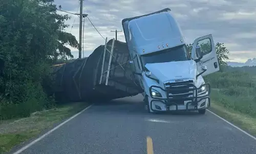 ಅಮೆರಿಕ | ಜೇನು ನೊಣಗಳನ್ನು ಹೊತ್ತೊಯ್ಯುತ್ತಿದ್ದ ಟ್ರಕ್ ಪಲ್ಟಿ: ಟ್ರಕ್ ನಿಂದ ಹೊರ ಬಿದ್ದ 25 ಕೋಟಿ ಜೇನು ನೊಣಗಳು!