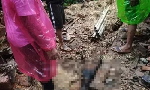 ಕೊಣಾಜೆ: ದನದ ಹಟ್ಟಿಗೆ ಮಣ್ಣು ಕುಸಿದು, ಮಣ್ಣಿನಡಿ ಸಿಲುಕಿದ ಹಸುಗಳು