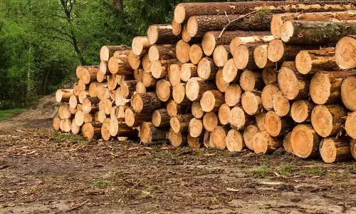 ಕೊಡಗಿನಲ್ಲಿ ಮರದ ದಿಮ್ಮಿಗಳ ಸಾಗಾಟಕ್ಕೆ ನಿರ್ಬಂಧ