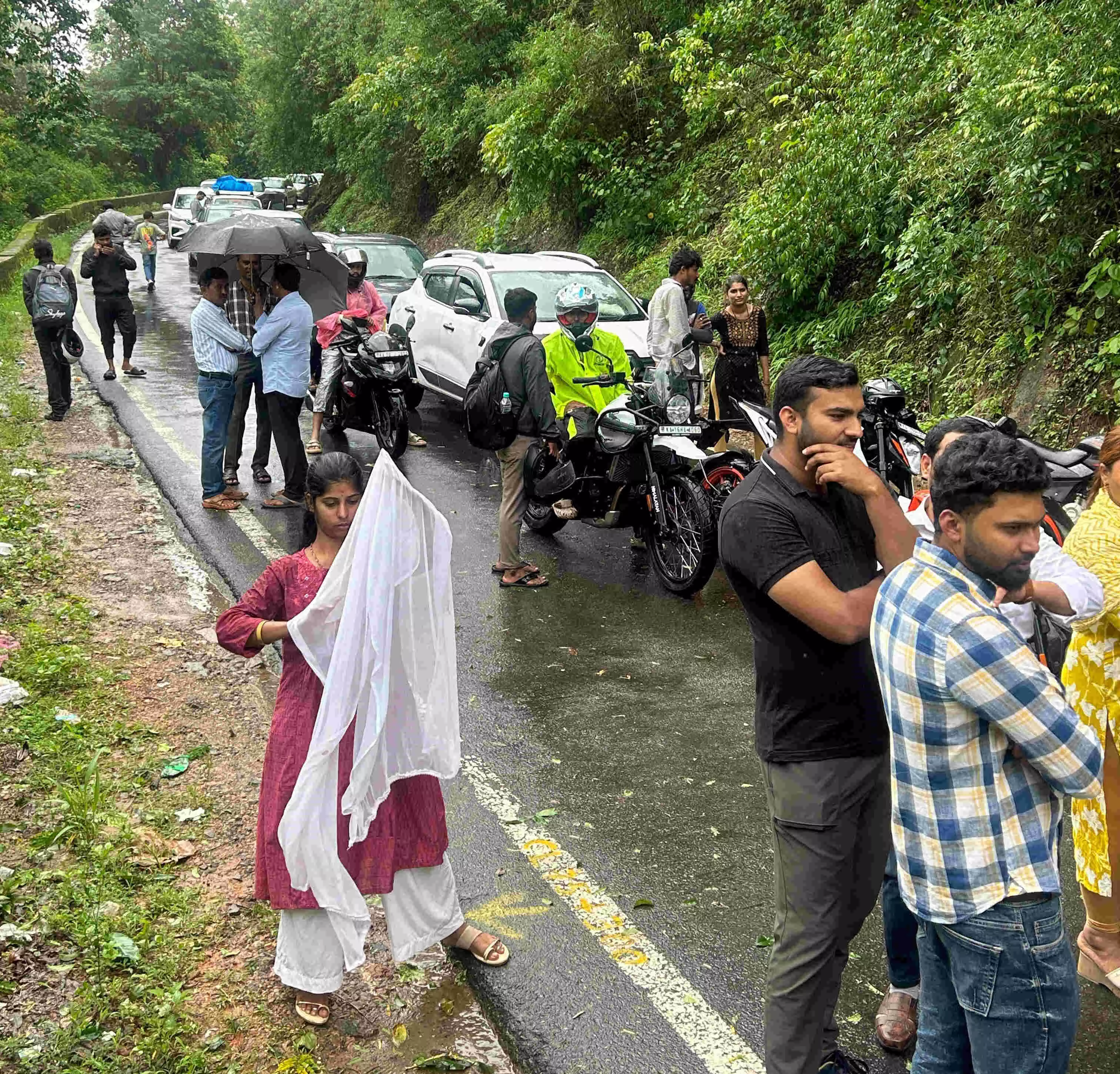 ಬೆಳ್ತಂಗಡಿ | ಚಾರ್ಮಾಡಿ ಘಾಟ್ ರಸ್ತೆಗೆ ಉರುಳಿದ ಬೃಹತ್ ಮರ: ಒಂದು ಗಂಟೆ ಟ್ರಾಫಿಕ್ ಜಾಮ್