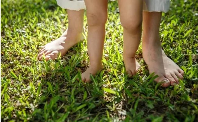 ತೆಲಂಗಾಣ ಮತ್ತು ಆಂಧ್ರಪ್ರದೇಶದಲ್ಲಿ 19 ವರ್ಷದ ಮಹಿಳೆಯರೇ ಹೆಚ್ಚಿನ ಸಂಖ್ಯೆಯಲ್ಲಿ ತಾಯಂದಿರು: ವರದಿ