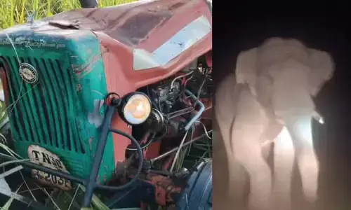 ಚಾಮರಾಜನಗರ : ಕಾಡಾನೆ ದಾಳಿಗೆ ಟ್ರ್ಯಾಕ್ಟರ್ ಜಖಂ; ಬೆಳೆ ನಾಶ