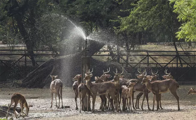 ‘ವಂತಾರಾ’ದೊಂದಿಗಿನ ದಿಲ್ಲಿ ಮೃಗಾಲಯದ ಪ್ರಸ್ತಾವಿತ ಒಪ್ಪಂದ ಖಾಸಗೀಕರಣದತ್ತ ಮೊದಲ ಹೆಜ್ಜೆಯೇ?: ಕಾಂಗ್ರೆಸ್ ಆಗ್ರಹ