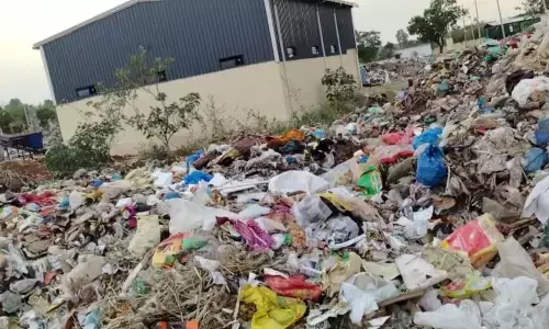 ಕಸ ವಿಲೇವಾರಿ ಘಟಕದಿಂದ ರೋಗಗಳಿಗೆ ತುತ್ತಾಗುತ್ತಿರುವ ಸಿಂಧನಕೇರಾ ಗ್ರಾಮಸ್ಥರು