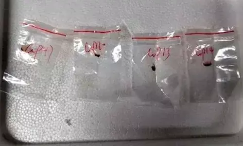 ಬೆಳೆನಾಶಕ ಶಿಲೀಂಧ್ರ ಅಮೆರಿಕಕ್ಕೆ ಕಳ್ಳಸಾಗಣೆ: ಚೀನಿ ವಿಜ್ಞಾನಿ, ಸ್ನೇಹಿತನ ಬಂಧನ