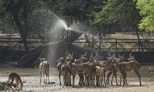 ‘ವಂತಾರಾ’ದೊಂದಿಗಿನ ದಿಲ್ಲಿ ಮೃಗಾಲಯದ ಪ್ರಸ್ತಾವಿತ ಒಪ್ಪಂದ ಖಾಸಗೀಕರಣದತ್ತ ಮೊದಲ ಹೆಜ್ಜೆಯೇ?: ಕಾಂಗ್ರೆಸ್ ಆಗ್ರಹ