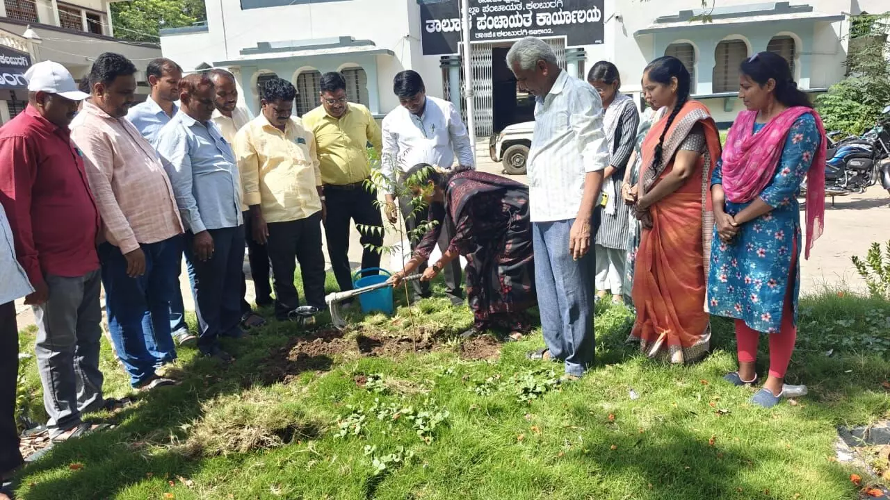 ಕಲಬುರಗಿ | ತಾಲ್ಲೂಕು ಪಂಚಾಯತ್ ಆವರಣದಲ್ಲಿ ವಿಶ್ವ ಪರಿಸರ ದಿನಾಚರಣೆ ಕಲಬುರಗಿ | ತಾಲ್ಲೂಕು ಪಂಚಾಯತ್ ಆವರಣದಲ್ಲಿ ವಿಶ್ವ ಪರಿಸರ ದಿನಾಚರಣೆ