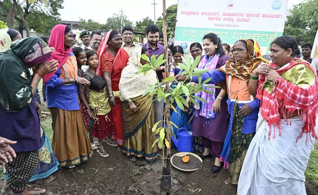 ಕಲಬುರಗಿ ಜಿಲ್ಲೆಯಾದ್ಯಂತ 4.43 ಲಕ್ಷ ಸಸಿ ನೆಡುವ ಯೋಜನೆ ಕಲಬುರಗಿ ಜಿಲ್ಲೆಯಾದ್ಯಂತ 4.43 ಲಕ್ಷ ಸಸಿ ನೆಡುವ ಯೋಜನೆ