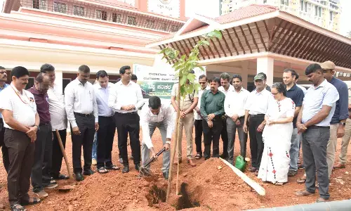 ವಿಶ್ವ ಪರಿಸರ ದಿನಾಚರಣೆ: ದ.ಕ. ಜಿಲ್ಲಾಧಿಕಾರಿ ಕಚೇರಿ ಆವರಣದಲ್ಲಿ ‘ಹಸಿರು ಕ್ರಾಂತಿ’ ಅಭಿಯಾನಕ್ಕೆ ಚಾಲನೆ