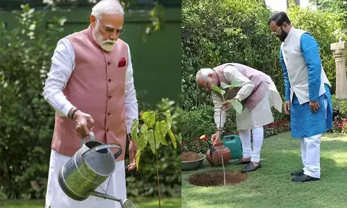 ವಿಶ್ವ ಪರಿಸರ ದಿನಾಚರಣೆ: ತಮ್ಮ ನಿವಾಸದ ಉದ್ಯಾನವನದಲ್ಲಿ ಸಿಂಧೂರ ಸಸಿ ನೆಟ್ಟ ಪ್ರಧಾನಿ ಮೋದಿ