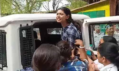 ‘ಆಪರೇಷನ್ ಸಿಂಧೂರ’ ಪೋಸ್ಟ್ ಪ್ರಕರಣ: ಶರ್ಮಿಷ್ಠಾ ಪನೋಲಿಗೆ ಮಧ್ಯಂತರ ಜಾಮೀನು