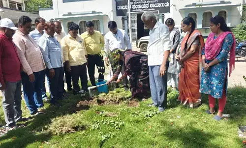 ಕಲಬುರಗಿ | ತಾಲ್ಲೂಕು ಪಂಚಾಯತ್‌ ಆವರಣದಲ್ಲಿ ವಿಶ್ವ ಪರಿಸರ ದಿನಾಚರಣೆ