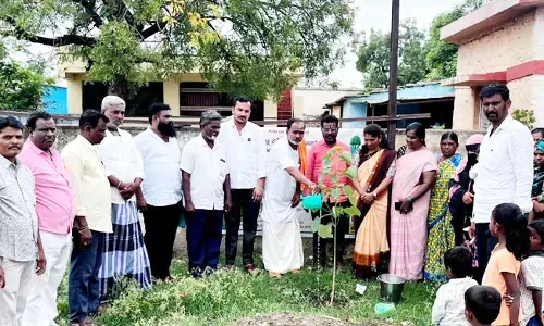 ಕಲಬುರಗಿ | ಗುಂಡಗುರ್ತಿಯ ಸರಕಾರಿ ಶಾಲೆಯಲ್ಲಿ ವಿಶ್ವ ಪರಿಸರ ದಿನಾಚರಣೆ