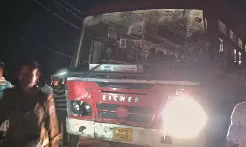 ಸಿರವಾರ | ಸಾರಿಗೆ ಬಸ್ ಢಿಕ್ಕಿ, ಎರಡು ಎಮ್ಮೆ ಸಾವು