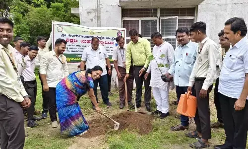 ಕಲಬುರಗಿ | ರಾಷ್ಟ್ರೀಯ ಸೇವಾ ಯೋಜನೆ ಘಟಕದ ವತಿಯಿಂದ ವಿಶ್ವ ಪರಿಸರ ದಿನಾಚರಣೆ