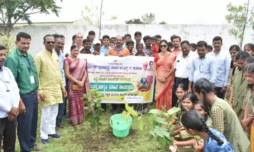 ಚಿಂಚೋಳಿ | ಪರಿಸರ ಸಂರಕ್ಷಣೆ ಪ್ರತಿಯೊಬ್ಬರ ಜವಾಬ್ದಾರಿ: ಜಗನ್ನಾಥ ಶೇರಿಕಾರ